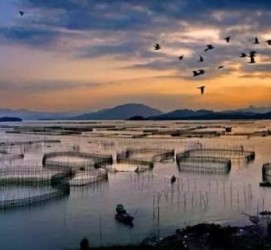 陆丰伴游中国网景点丰富(旅游网介绍)