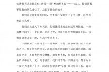 陆丰旅游感想(张家界旅游感想)