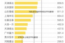 陆丰关于伴游小丽中国足球的信息