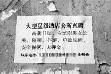 陆丰珠海伴游雇用网(珠海游览社雇用信息)