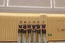 陆丰杭州模特礼节兼职群(杭州兼职商务模特经纪人微信)