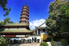 陆丰广州自由行(广州 自由行)