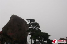 陆丰上海伴游私家陪游雇用女模(上海伴游私家陪游雇用女模特)