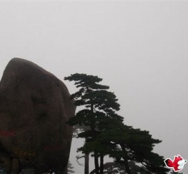 陆丰上海伴游私家陪游雇用女模(上海伴游私家陪游雇用女模特)