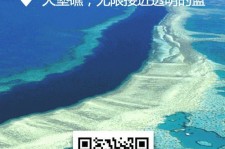 陆丰中国250家旅行社结伴游新西兰(新西兰当地旅行社)
