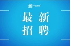陆丰镇江伴游雇用驾驶员(镇江驾驶员雇用苍生网)