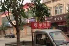 陆丰上海伴游 用伴游造句大全(5