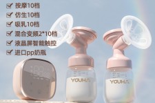 陆丰奶模(奶模型)