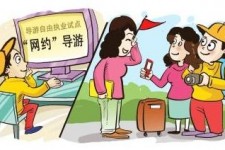陆丰伴游是什么