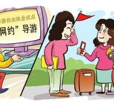 陆丰伴游是什么