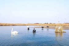 陆丰南昌附近伴游小妹兼职(1534939978姐的微信德惠市)