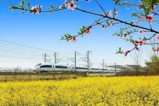 陆丰高铁游(高铁游戏下载手机版)