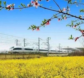 陆丰高铁游(高铁游戏下载手机版)
