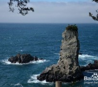 陆丰旅游全攻略(上海旅游全攻略)