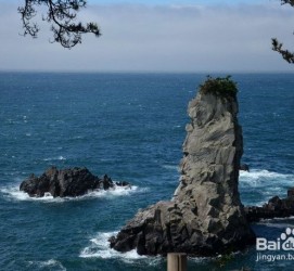 陆丰旅游全攻略(上海旅游全攻略)