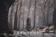 陆丰上海私人伴游 上海伴游，上海兼职伴游安全吗