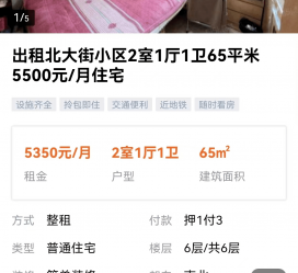 陆丰私人伴游是什么 “过年租友”陷阱：骗财与色情服务