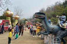 陆丰中国伴游带你打卡网红南山竹海(南山竹海网上预约)
