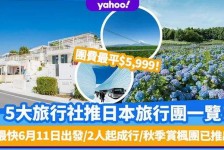 陆丰旅游价格(旅游价格机制)