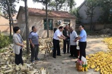 陆丰关于宋叔带老伴游中国的信息