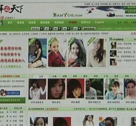 陆丰home伴游中国(zarahome乳胶枕)