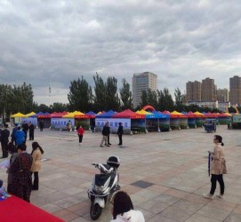 陆丰通辽伴游雇用(哈尔滨伴游雇用)