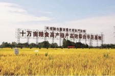 陆丰关于成都商务伴游外围雇用的信息