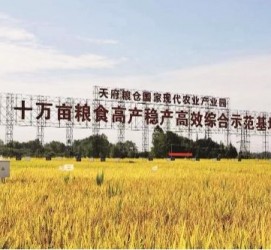 陆丰关于成都商务伴游外围雇用的信息
