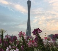 陆丰广州旅游攻略(杭州到广州旅游攻略)