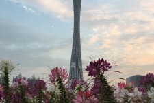 陆丰广州旅游攻略(杭州到广州旅游攻略)