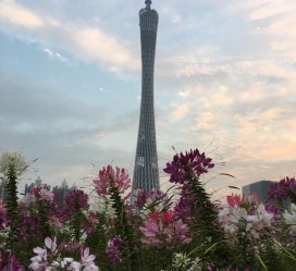 陆丰广州旅游攻略(杭州到广州旅游攻略)