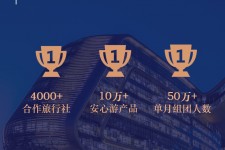 陆丰上海私人伴游 ​ “小而美”的新时代：2020年国内新跟团消费报告