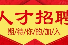 陆丰上海伴游招聘 招聘 | 浦东机场专柜销售