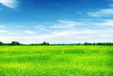 陆丰上海伴游 上海模特伴游微信号的交友宣言