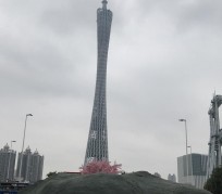 陆丰广州游玩攻略(广州游玩攻略景点大全免费)