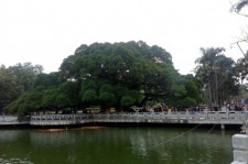 陆丰福州旅游攻略(福州旅游攻略二日游)