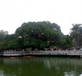 陆丰福州旅游攻略(福州旅游攻略二日游)