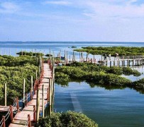 陆丰旅游哪里好玩(云南旅游哪里好玩)