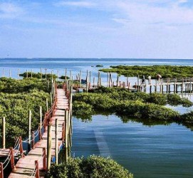 陆丰旅游哪里好玩(云南旅游哪里好玩)