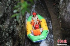 陆丰伴游中国三亚(三亚结伴旅游网)