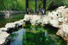 陆丰济南旅游攻略(青岛威海济南旅游攻略)