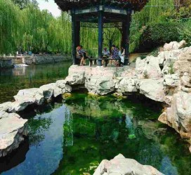 陆丰济南旅游攻略(青岛威海济南旅游攻略)