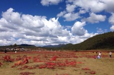 陆丰旅游去处(暑期最好的旅游去处)