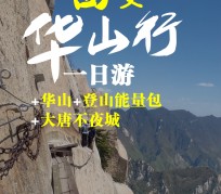 陆丰一日游(一日游需要准备些什么东西?)
