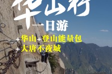 陆丰一日游(一日游需要准备些什么东西?)