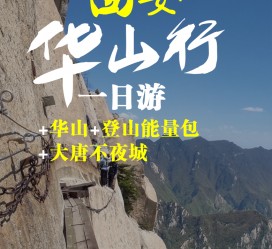 陆丰一日游(一日游需要准备些什么东西?)