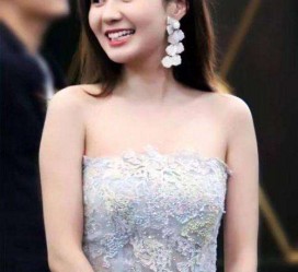 陆丰cnbanycom伴游中国明星的简单介绍