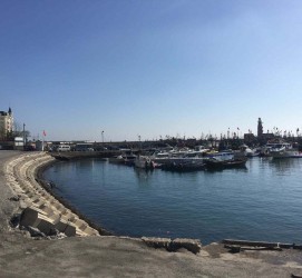 陆丰大连旅游攻略(大连旅游攻略自由行)