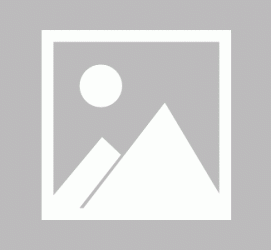陆丰私人伴游 黄金周里动“黄”经 天津又现“私人陪游”逆流