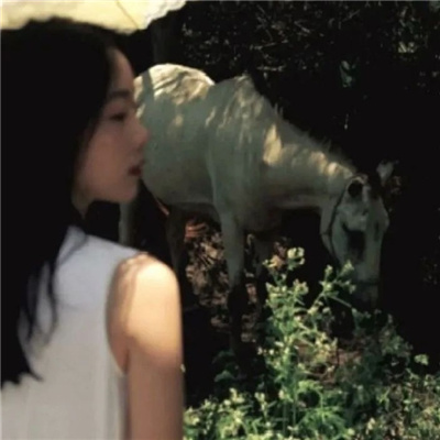 陆丰私家伴游让你拥有一次完美的旅游体验